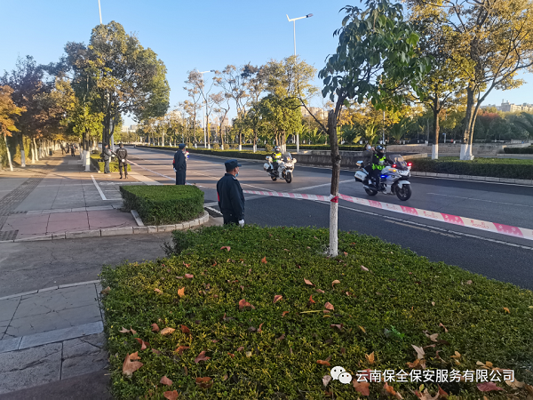 &#31859;&#20848;&#23448;&#26041;&#32593;&#39029;&#29256;&#45;&#31859;&#20848;&#40;&#20013;&#22269;&#41;